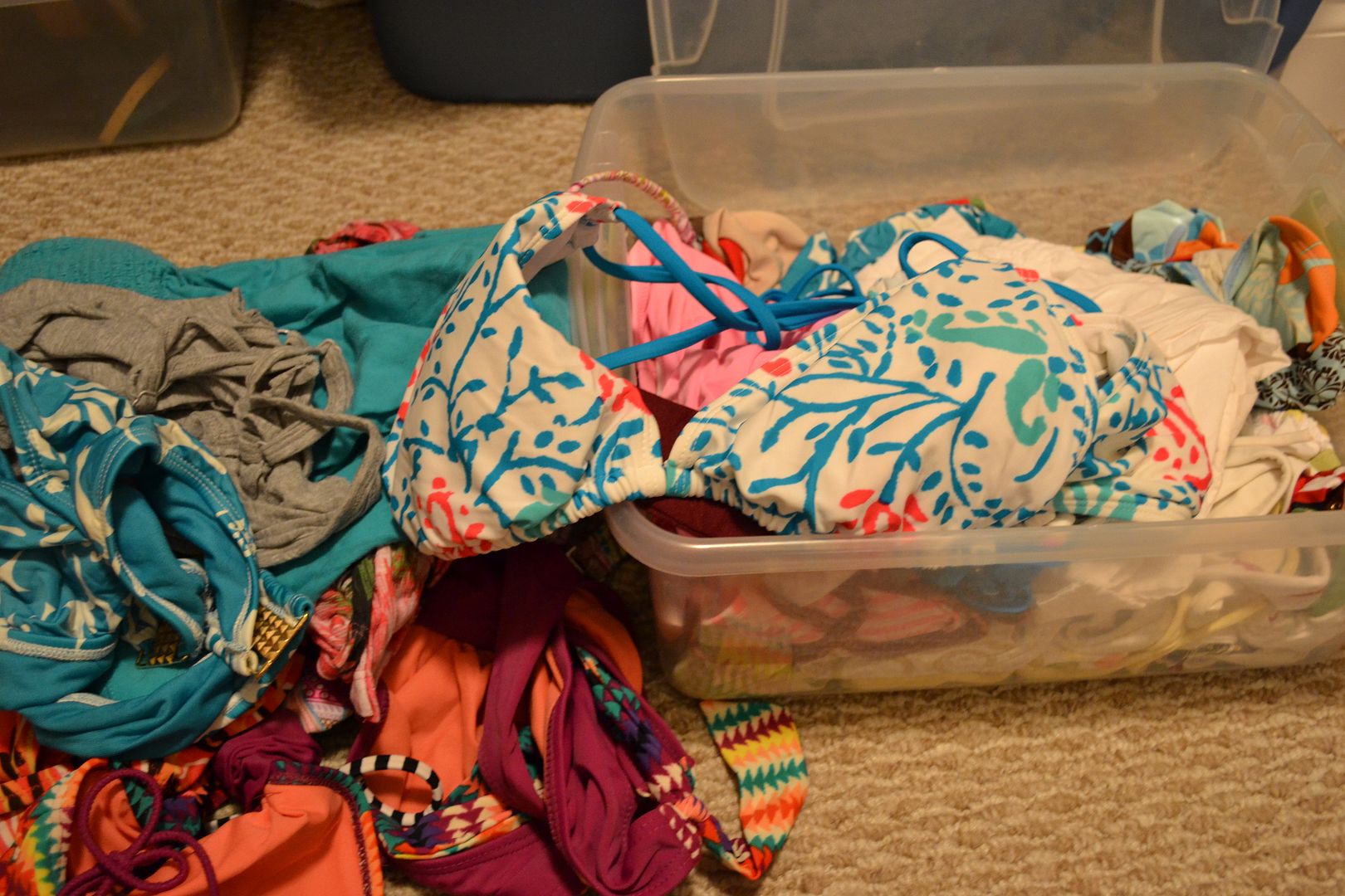 photo DSC_0060_zpsc7dae9ce.jpg