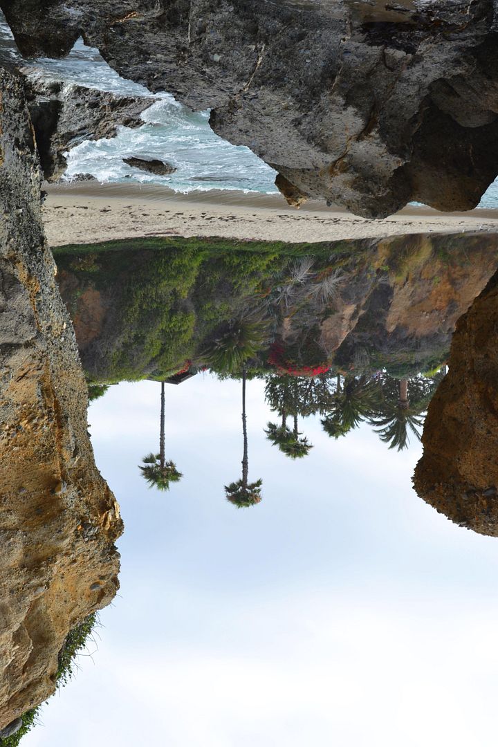 photo RockPalms_zpsb8aeac2b.jpg