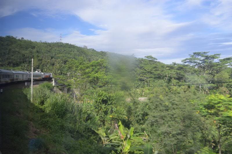 [Image: DSC_0224_zps13b111d0.jpg]