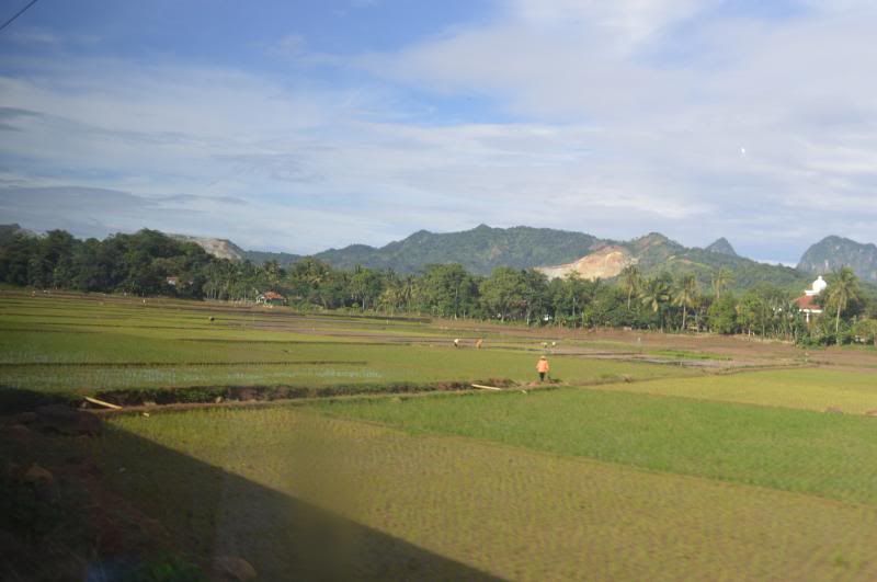 [Image: DSC_0234_zps8c8be8b3.jpg]