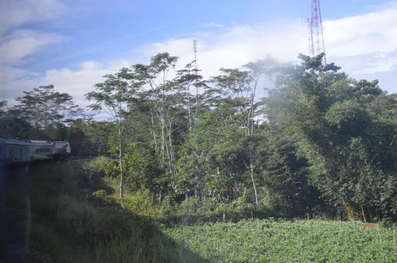 [Image: DSC_0244_zps9710b4d0.jpg]