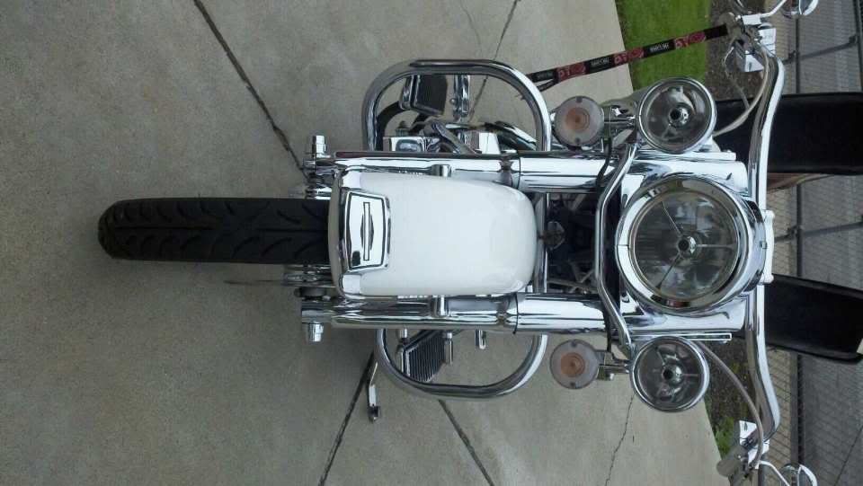 Harley heritage softail