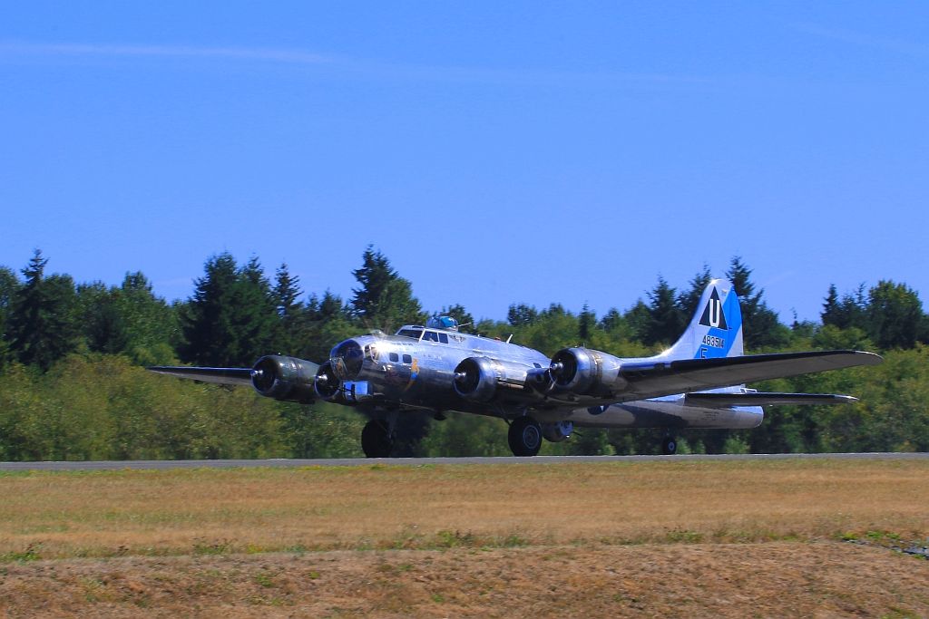 IMAGE: http://i1246.photobucket.com/albums/gg607/squirl036/IMG_3832%20sm_zpsd5gfw3qa.jpg