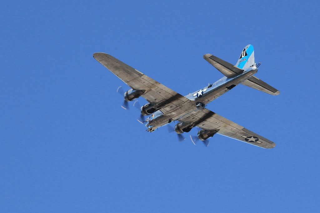 IMAGE: http://i1246.photobucket.com/albums/gg607/squirl036/IMG_3881%20crop%20sm_zps8x8oivso.jpg