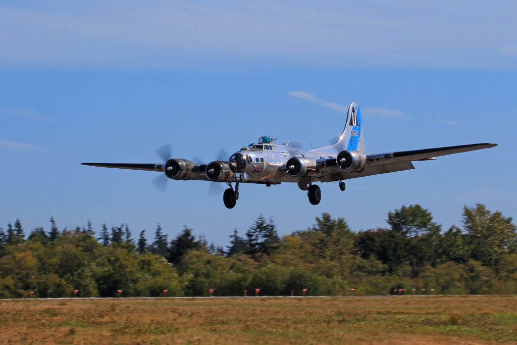 IMAGE: http://i1246.photobucket.com/albums/gg607/squirl036/IMG_3908%20sm_zps5fwrxjew.jpg