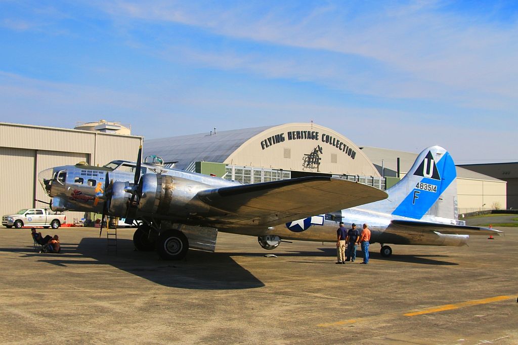 IMAGE: http://i1246.photobucket.com/albums/gg607/squirl036/IMG_4021%20sm_zps0llqtv8q.jpg