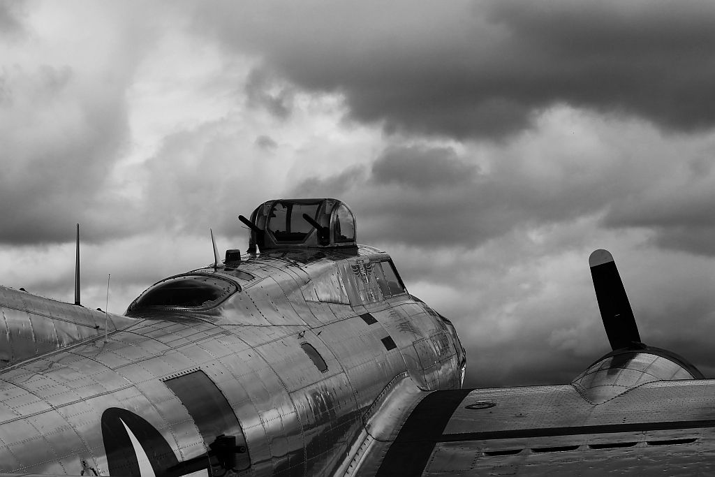 IMAGE: http://i1246.photobucket.com/albums/gg607/squirl036/IMG_4455%20BW_filtered%20sm_zpszwyh0xtx.jpg