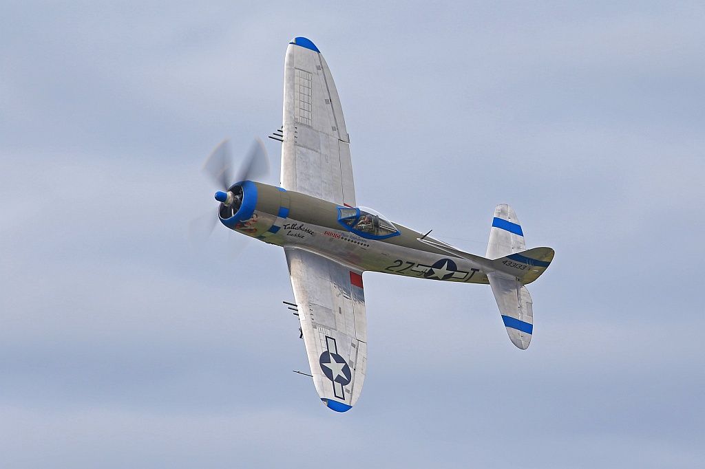 IMAGE: http://i1246.photobucket.com/albums/gg607/squirl036/IMG_5650%20crop%20sm_zpsporeckoz.jpg