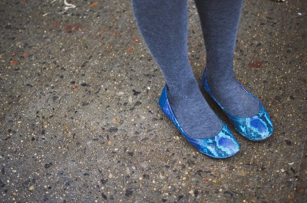 snakeskin flats photo DSC06741_zps13658ac5.jpg