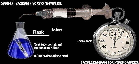 Sample-Diagram-Xtremepapers-Black.png