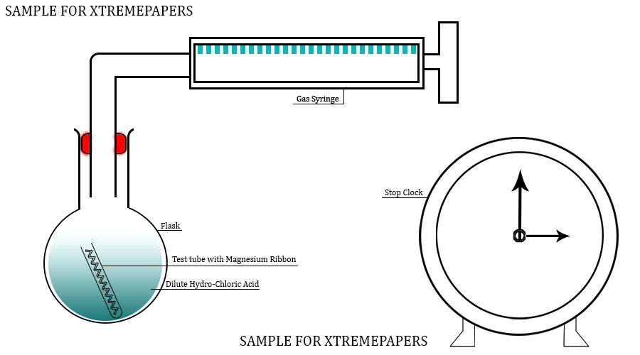 Sample-Xtremepapers-White.png