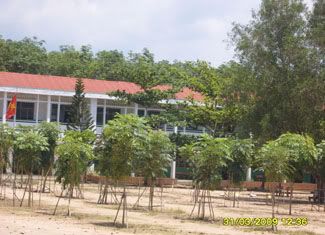 dungit_pro@yahoo.com.vn