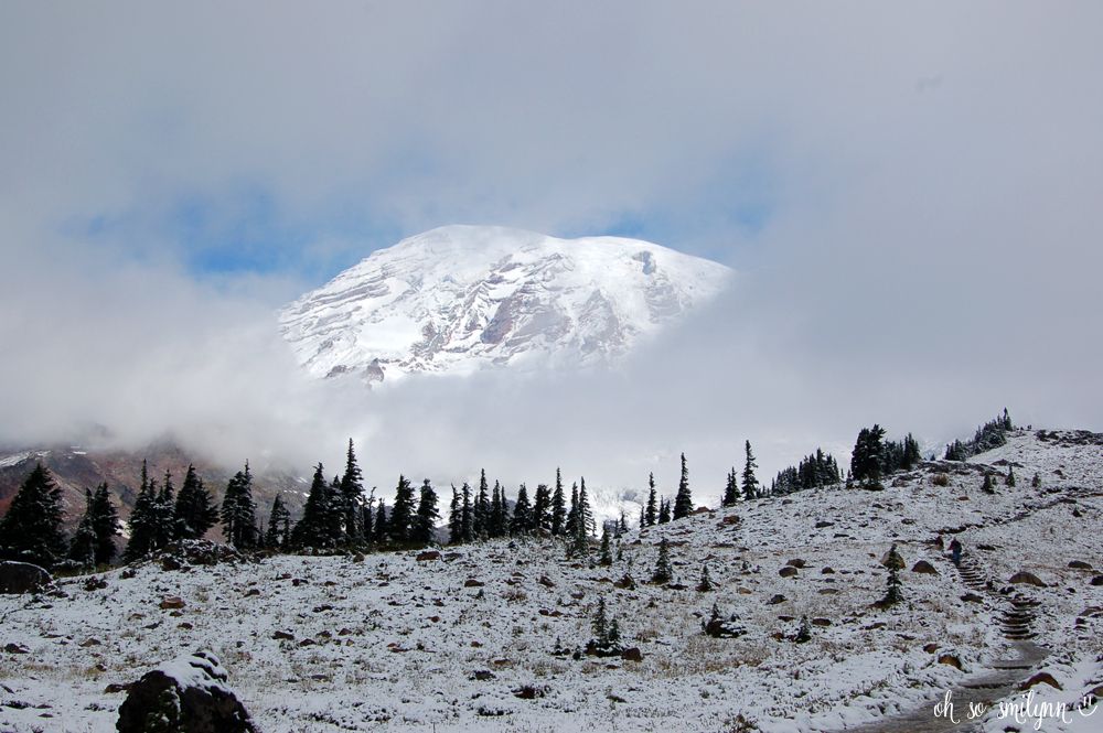 oh so smilynn: Pacific Northwest Vacation - Mount Rainier National Park