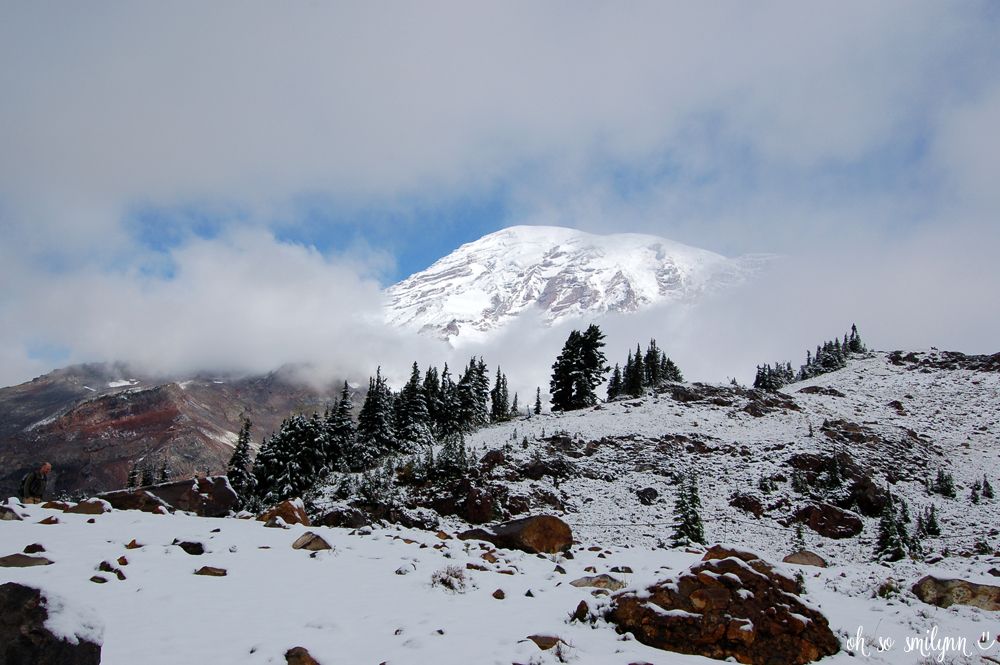 oh so smilynn: Pacific Northwest Vacation - Mount Rainier National Park