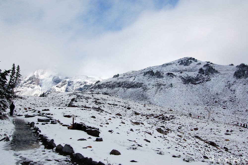 oh so smilynn: Pacific Northwest Vacation - Mount Rainier National Park