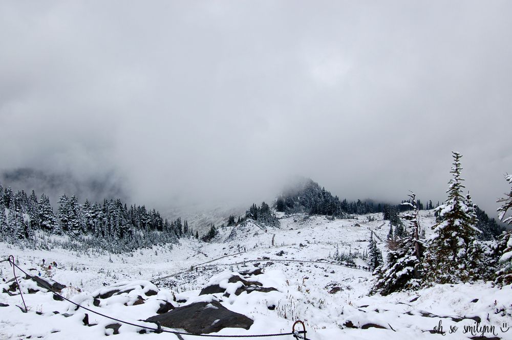 oh so smilynn: Pacific Northwest Vacation - Mount Rainier National Park