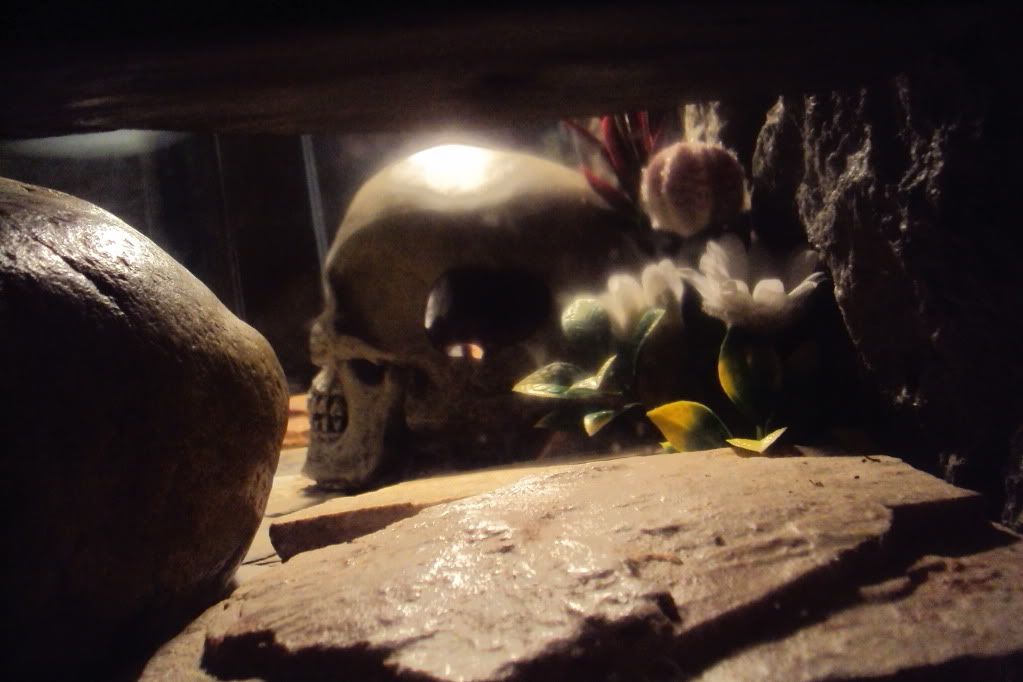 DSC04494-1.jpg