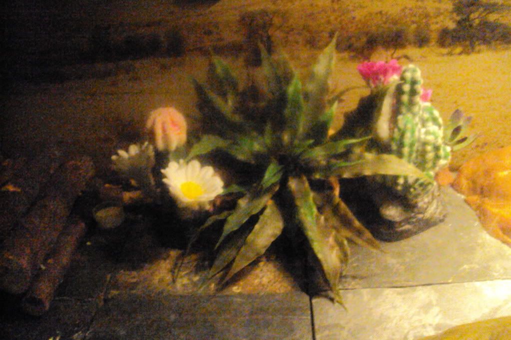 DSC04509.jpg