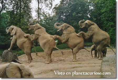 imagenes imagenes