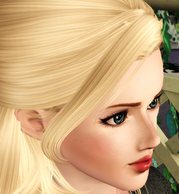 5.png