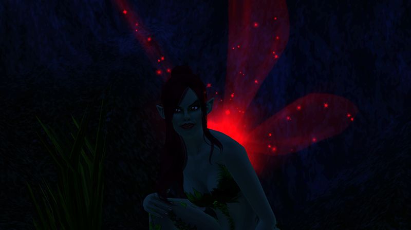 08.jpg