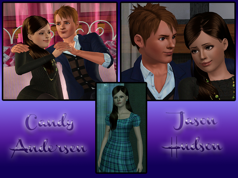hudsons.png