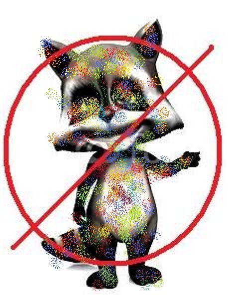 raccoon1.jpg