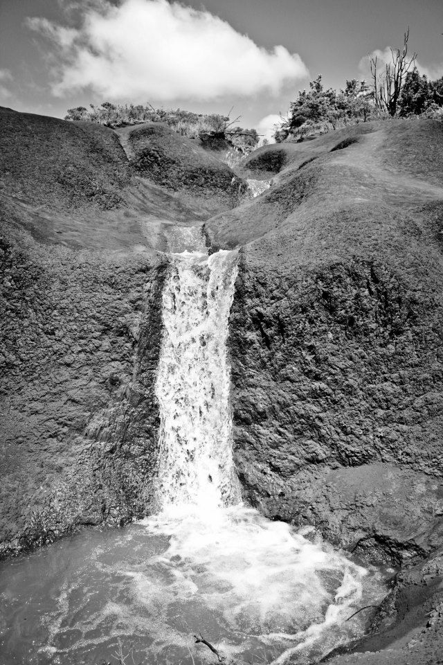 IMAGE: http://i1246.photobucket.com/albums/gg619/jpappilli/580040_482524831767023_1031037892_n.jpg