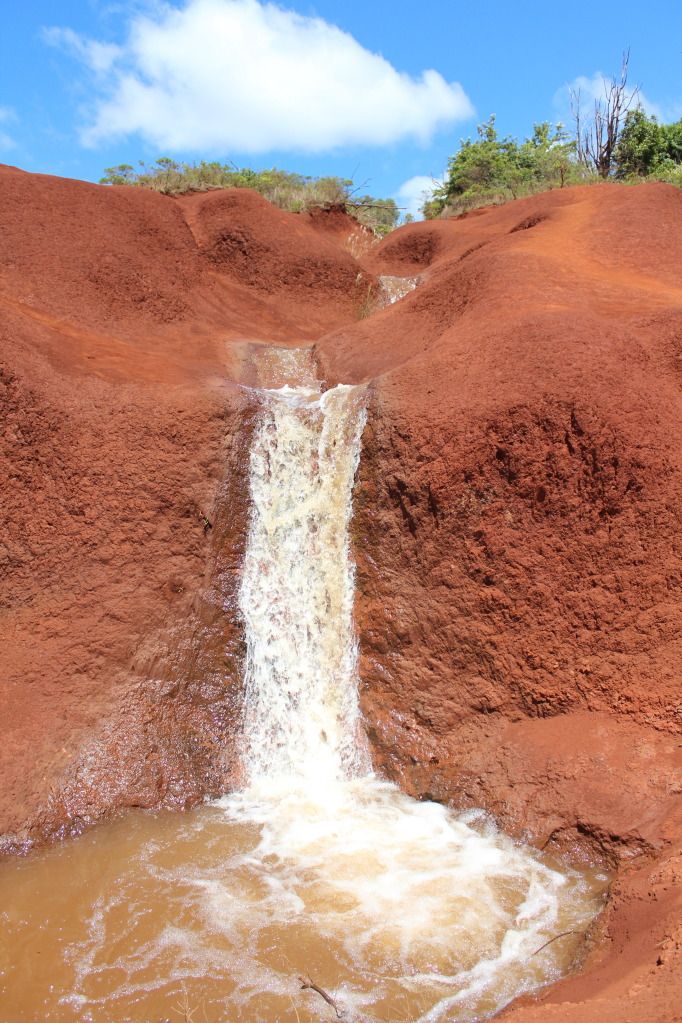 IMAGE: http://i1246.photobucket.com/albums/gg619/jpappilli/IMG_4733.jpg