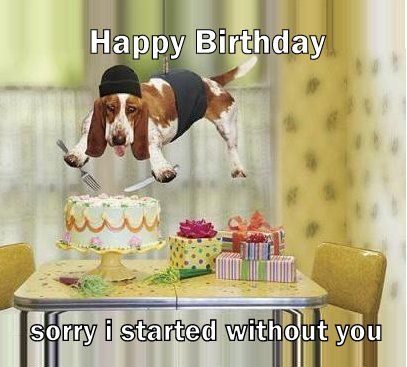 funny-pictures-birthday-hound_zps8ac577f5.jpg