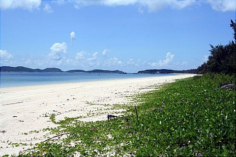 bãi biển Cô Tô fhw1245724733 zpscccd4f95 Kinh nghiệm du lịch Cô Tô 2013