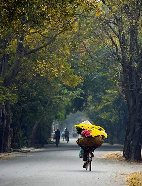 Gánh hàng hoa