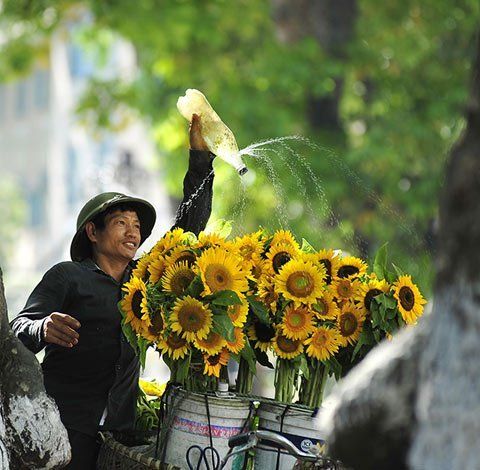 Gánh hàng hoa