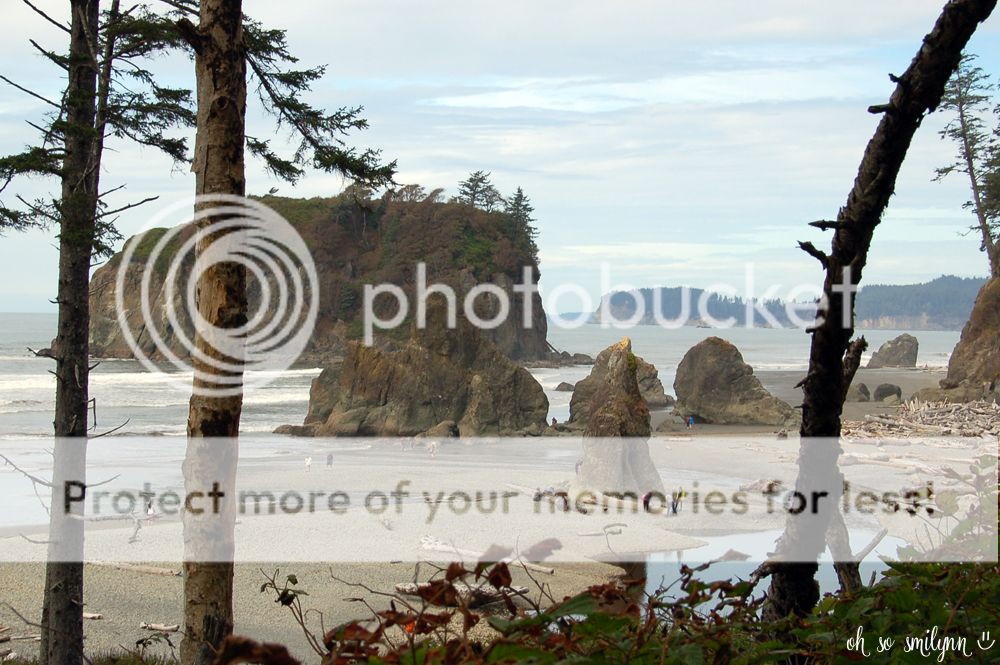 oh so smilynn: Pacific Northwest Vacation - Olympic National Park Ruby Beach