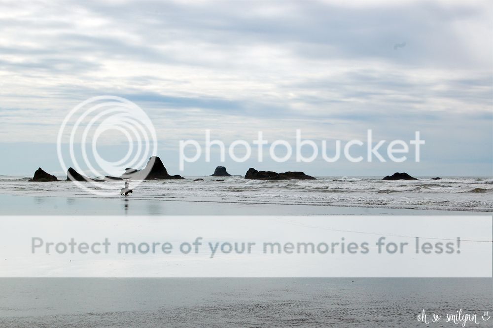 oh so smilynn: Pacific Northwest Vacation - Olympic National Park Ruby Beach