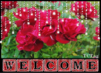 welcome animated photo: welcome5.gif