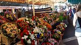 Kvetinovy trh 2 photo 40_zpsuxspxl4m.jpg